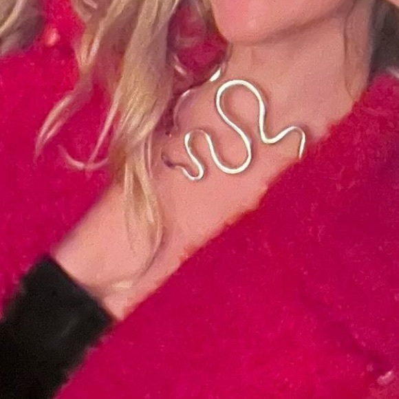 NWT Silver Snake Necklace choker unique all saints chain Happily Grey - Picture 4 of 5